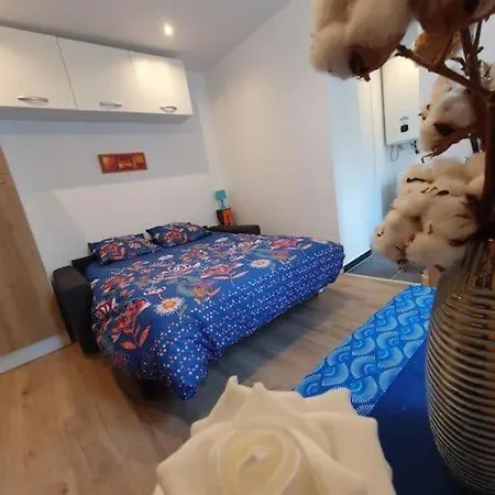 Appart'hotel, Ikimo 5 Entiers A Votre Disposition Au Choix Апартаменты Нанси